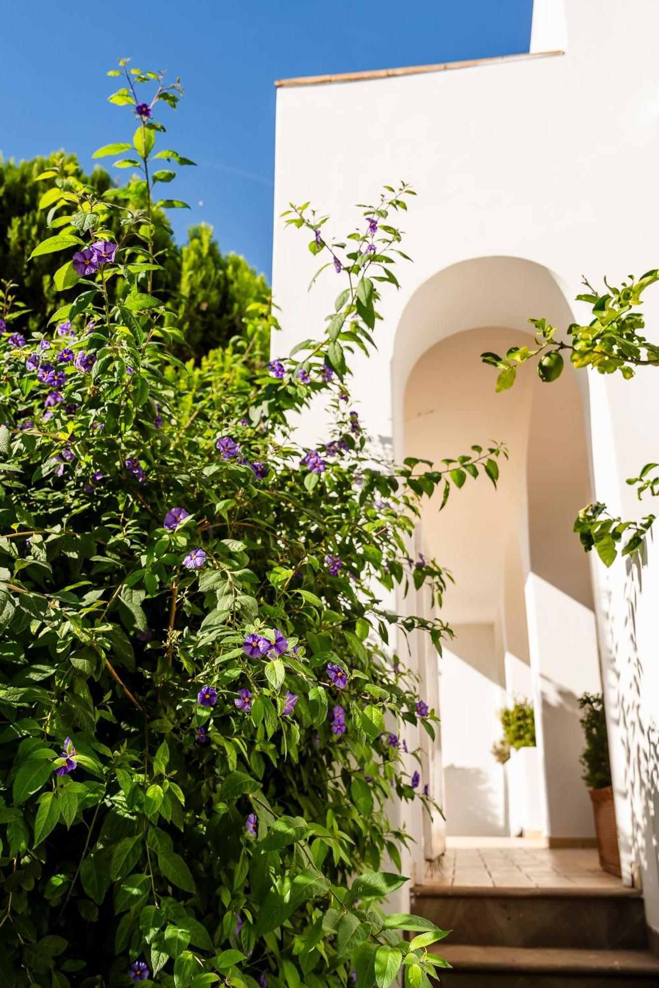 Hotel Senaria Anacapri  Eksteriør bilde